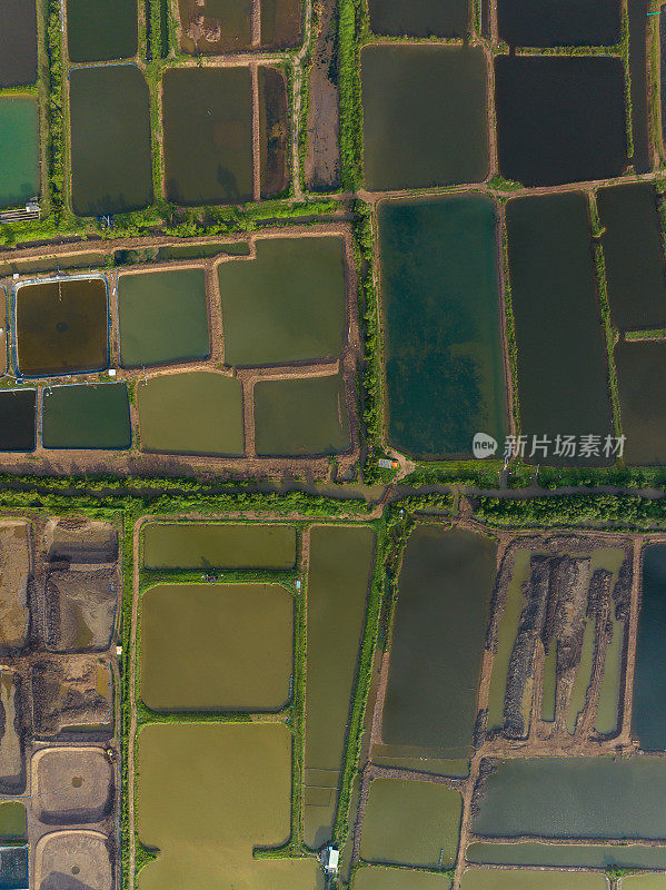 天江省Tan Thanh海滩上广泛的虾养殖池塘的抽象航拍图像